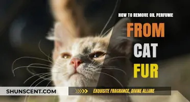 Removing Oil Perfume from Your Cat's Fur