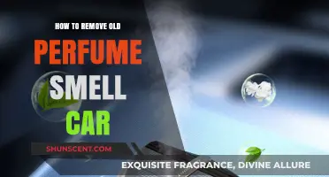 Get Rid of Lingering Perfume Scents in Your Car