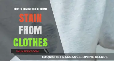 Easy Hacks to Remove Stubborn Perfume Stains from Clothes