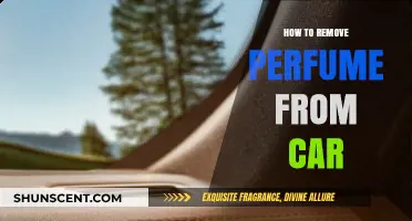 Eliminating Perfume Scents from Your Car