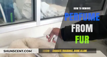 Removing Perfume Stains from Fur: A Step-by-Step Guide