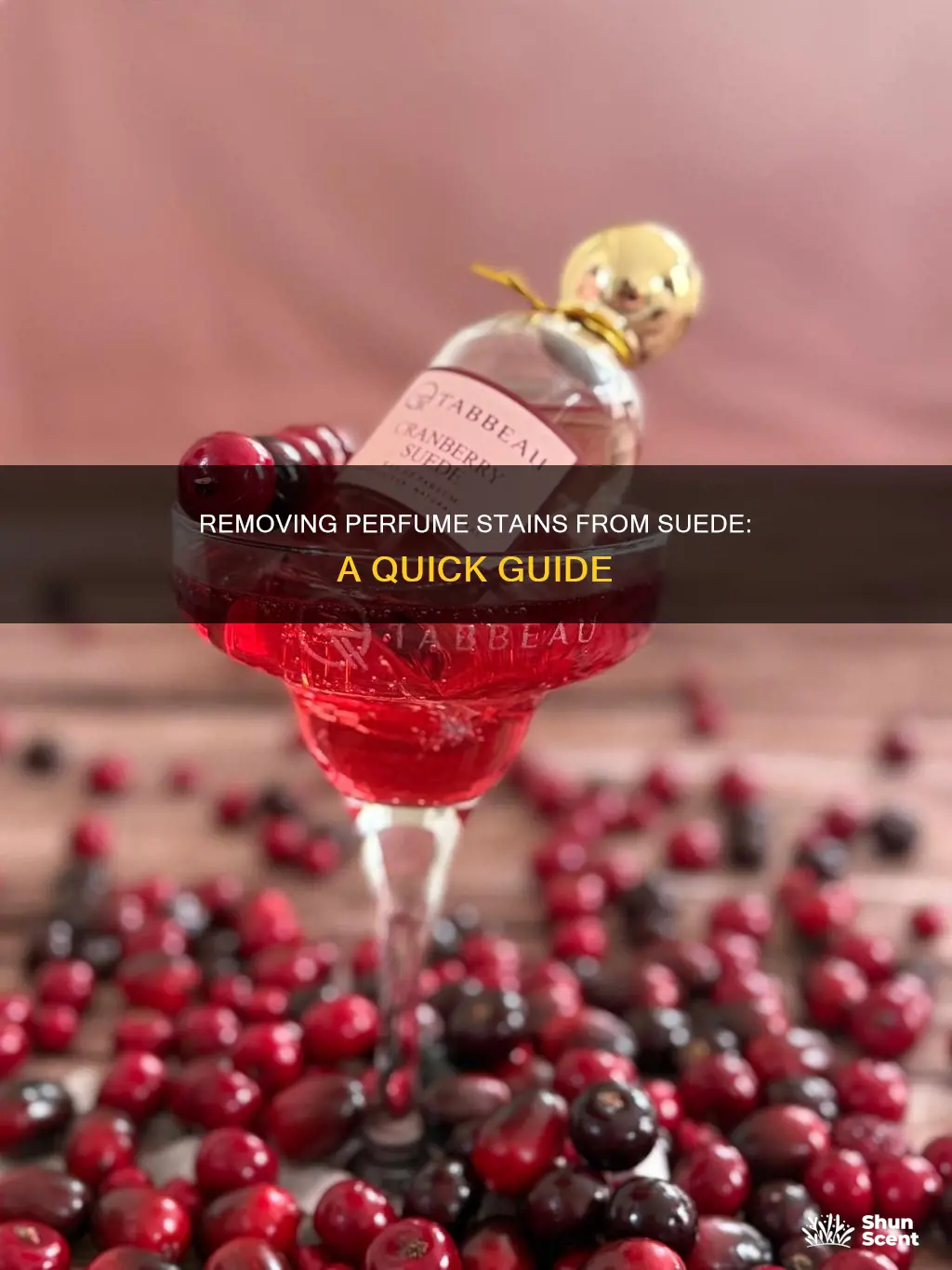 how to remove perfume from suede