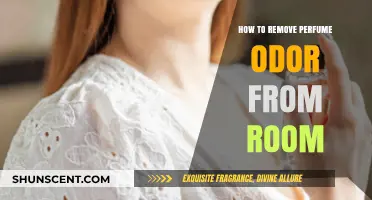 Easy Hacks to Remove Strong Perfume Odor from Room