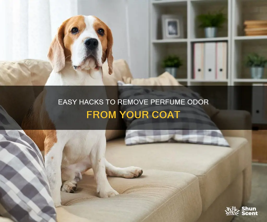 how to remove perfume smell from a coat