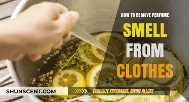Easy Ways to Remove Stubborn Perfume Stains from Clothes