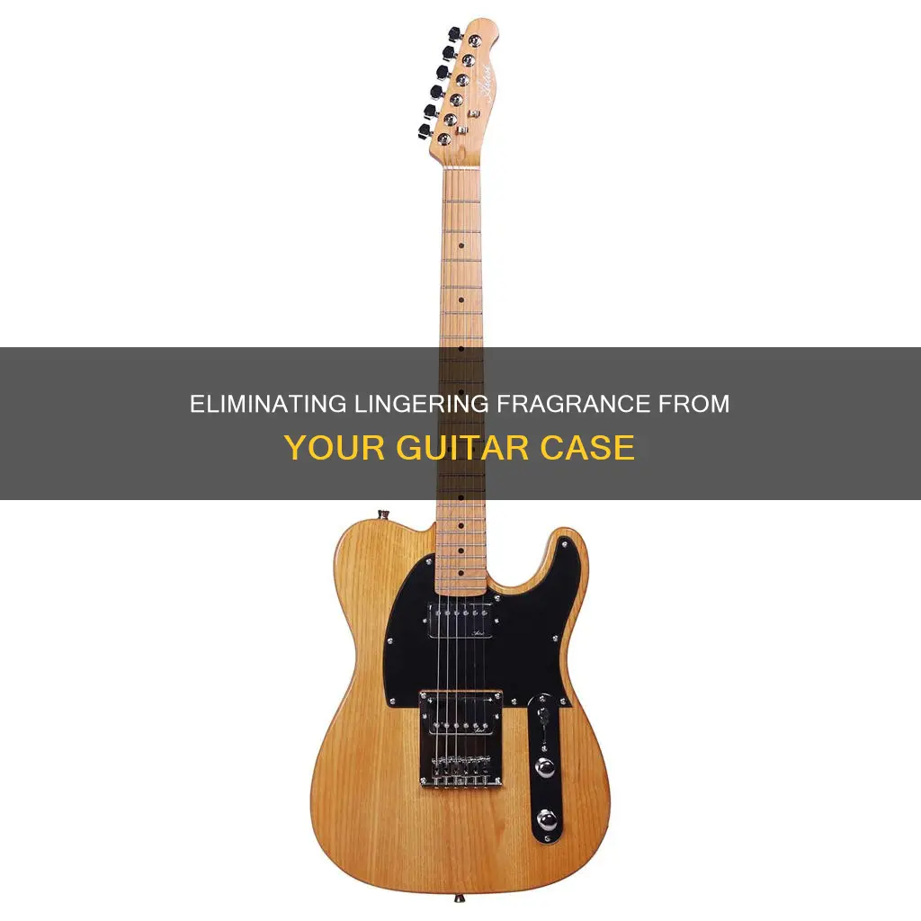 how to remove perfume smell from guitar case
