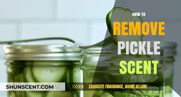 Effective Ways to Eliminate Lingering Pickle Smells from Your Kitchen