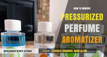 Easy Steps to Remove Pressurized Perfume Aromatizer