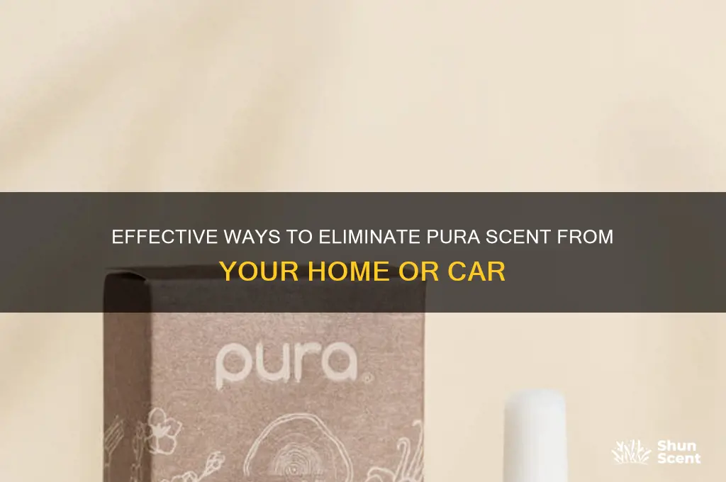 how to remove pura scent