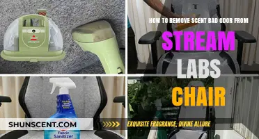 Eliminate Bad Odors: Effective Tips to Freshen Your Streamlabs Chair