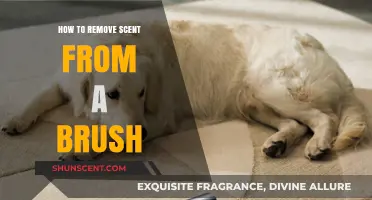 Effective Tips to Eliminate Lingering Smells from Your Brush