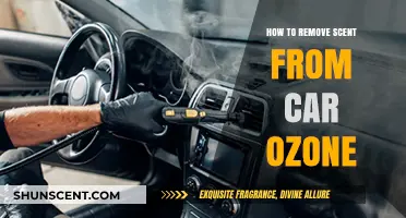 Effective Ways to Eliminate Car Odors Using Ozone Treatment