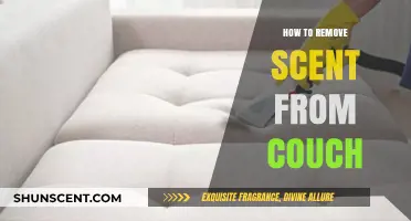 Effective Ways to Eliminate Unwanted Odors from Your Couch