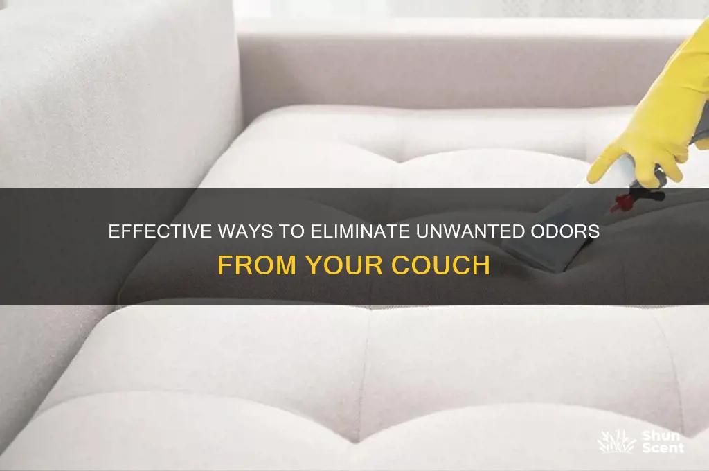 how to remove scent from couch