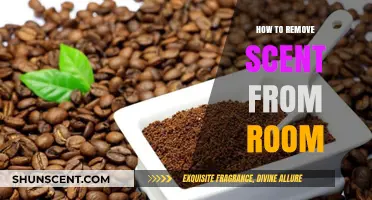 Effective Ways to Eliminate Unwanted Room Odors Quickly and Easily