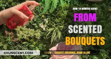 Eliminate Fragrance: Simple Methods to Remove Scent from Scented Bouquets