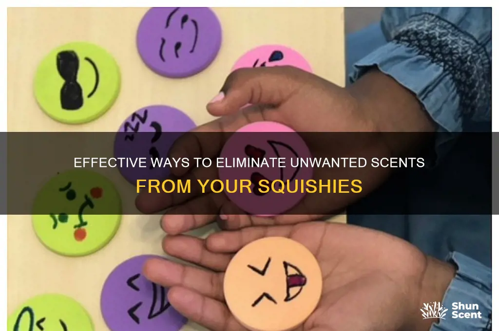how to remove scent from squishies