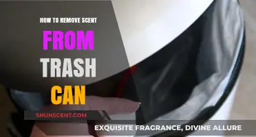 Effective Ways to Eliminate Odors from Your Trash Can Permanently