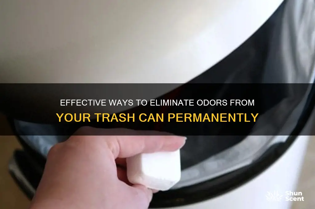 how to remove scent from trash can