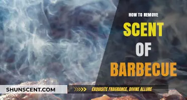 Eliminate Barbecue Odors: Effective Tips to Freshen Your Space Fast