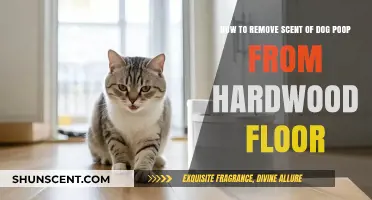Eliminate Dog Poop Odor from Hardwood Floors: Quick & Effective Tips