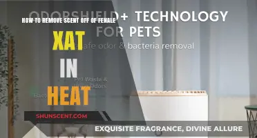 Effective Tips to Neutralize Female Cat Heat Scent in Your Home