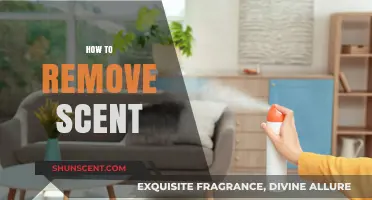Effective Tips to Remove Unwanted Scents from Your Home and Clothes