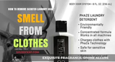 Eliminate Lingering Scented Laundry Soap Smell from Clothes: Quick Fixes