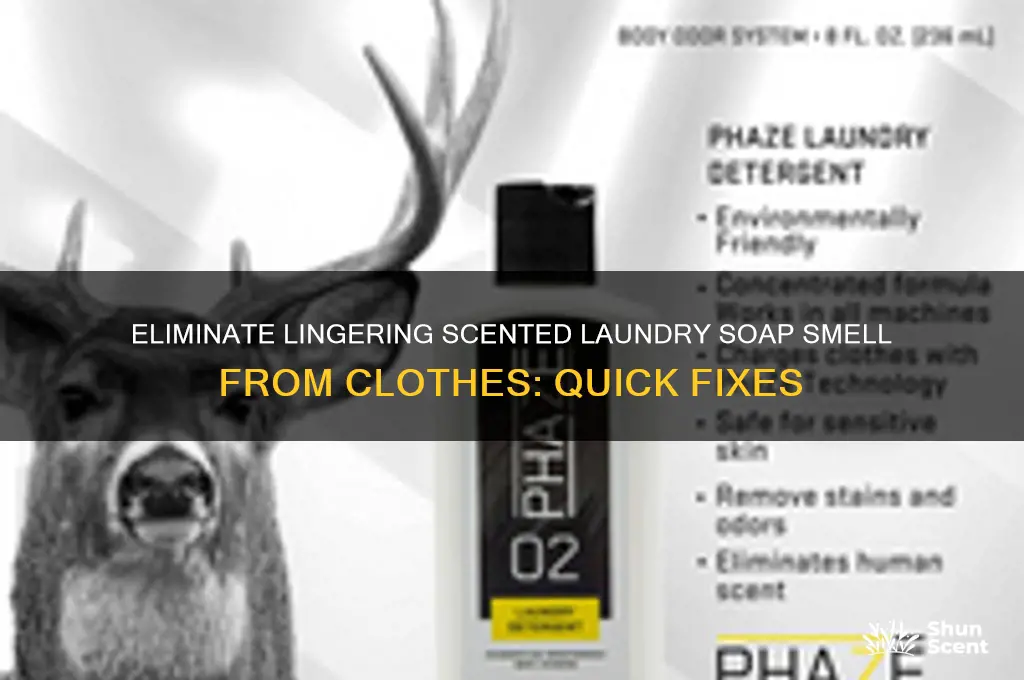 how to remove scented laundry soap smell from clothes