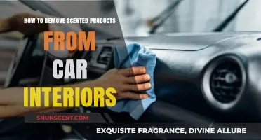 Effective Ways to Eliminate Lingering Scents from Your Car Interior