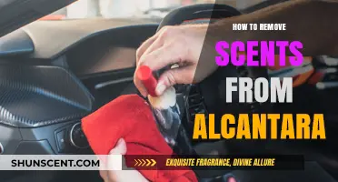 Effective Tips to Eliminate Odors from Alcantara Surfaces Easily