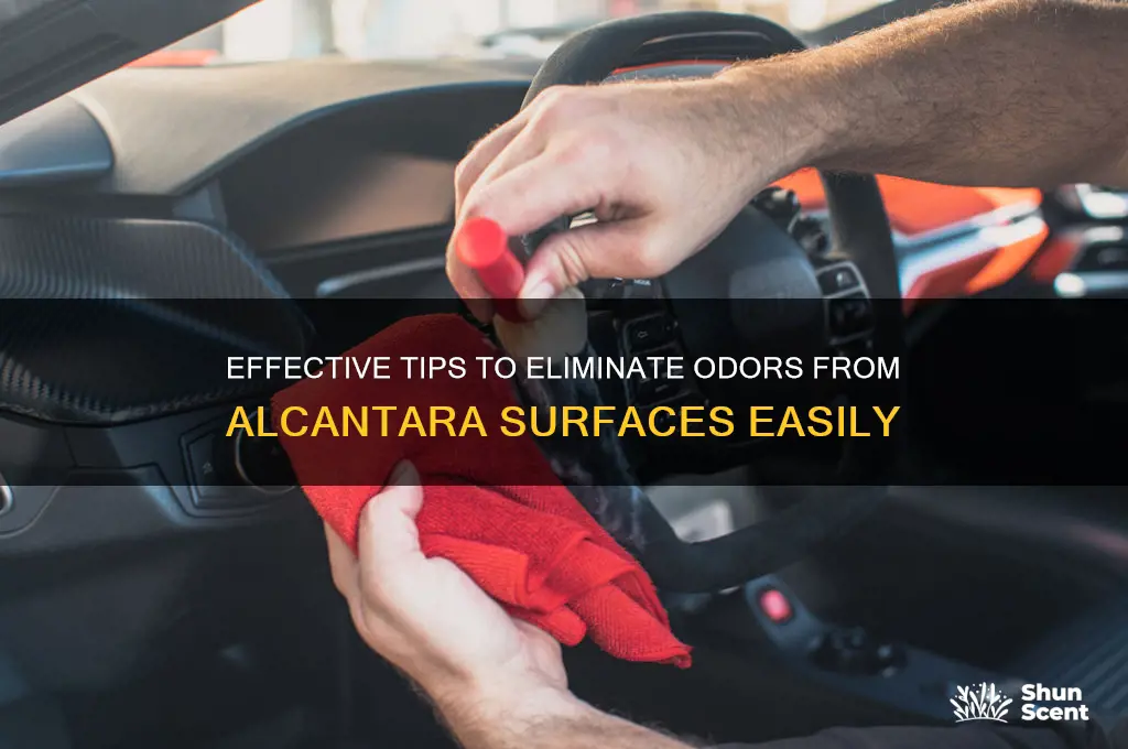 how to remove scents from alcantara
