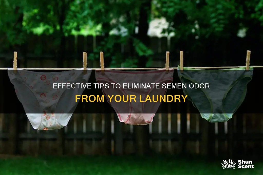 how to remove semen scent from clothes