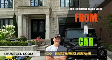 Effective Ways to Eliminate Skunk Odor from Your Car Interior