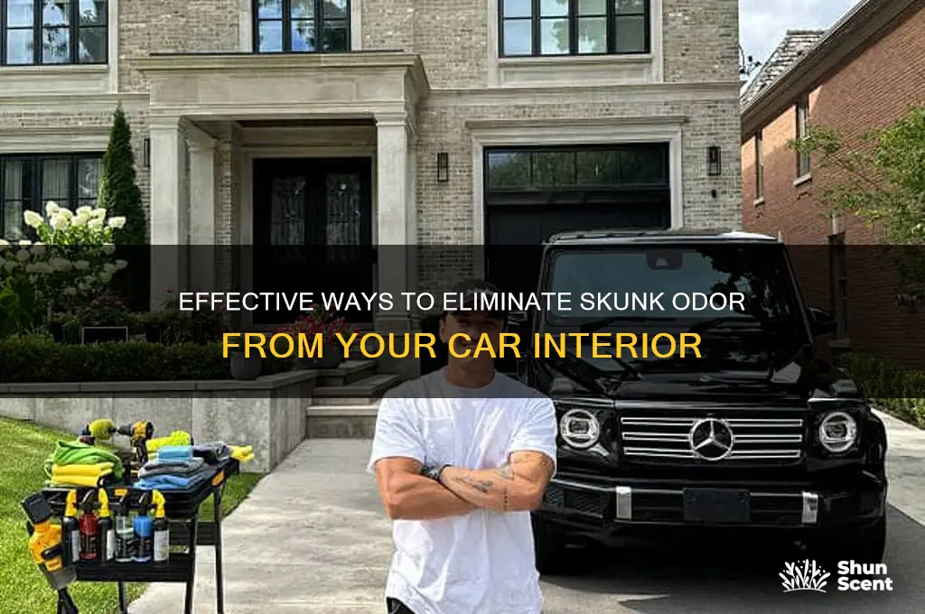 how to remove skunk scent from a car