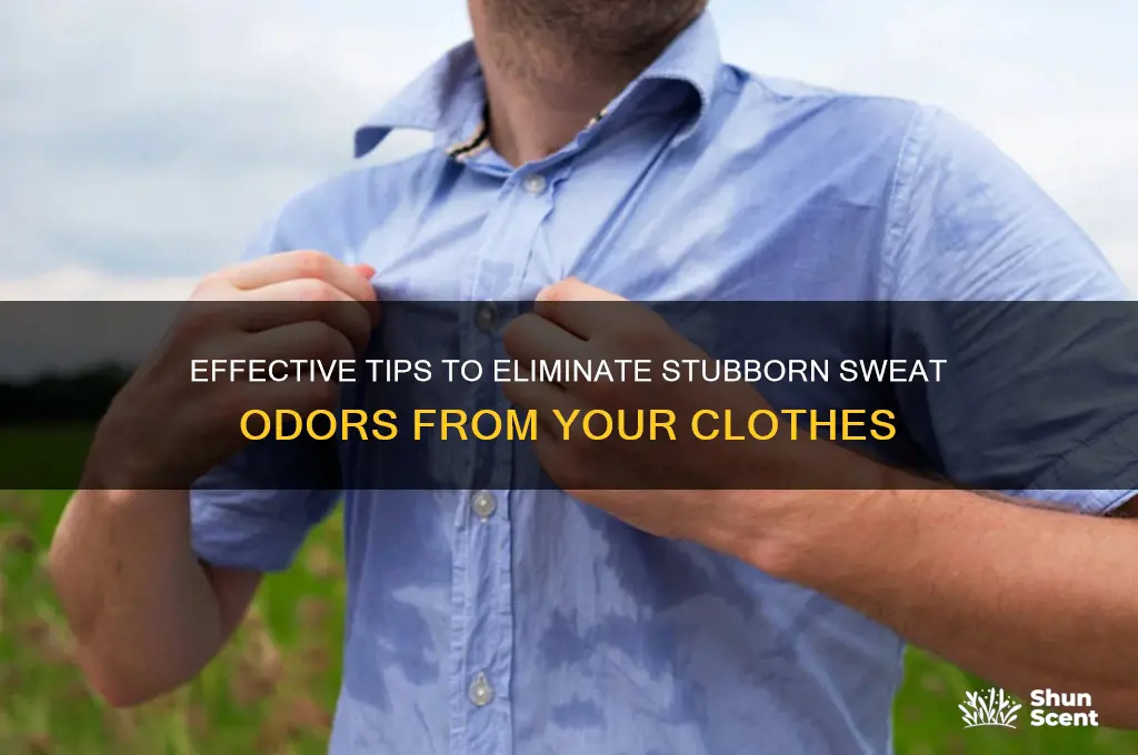 how to remove sweat scent from clothes