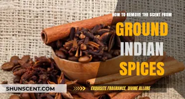 Eliminate Strong Aromas: Tips for Removing Indian Spice Scents