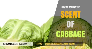 Eliminate Lingering Cabbage Odor: Effective Tips for a Fresh-Smelling Kitchen