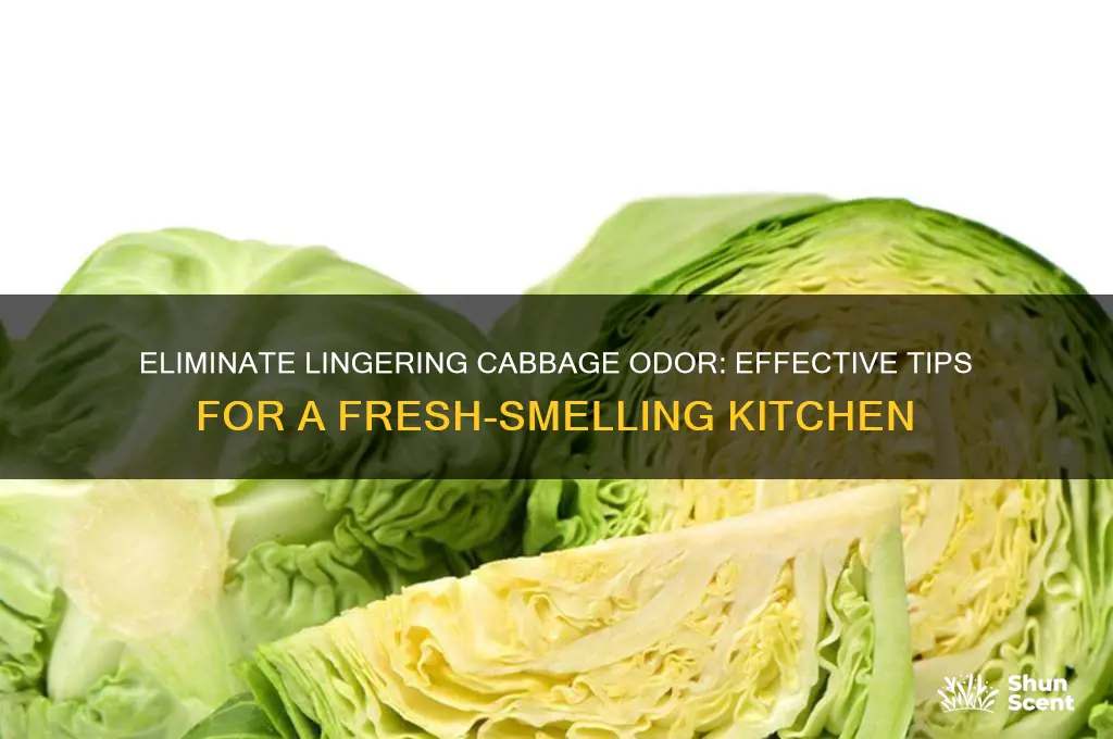 how to remove the scent of cabbage