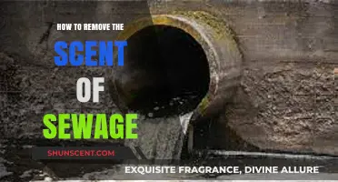 Effective Ways to Eliminate Sewage Smells from Your Home