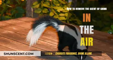Eliminate Skunk Odor: Effective Ways to Freshen Your Air Fast