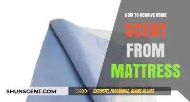 Effective Ways to Eliminate Urine Odor from Your Mattress