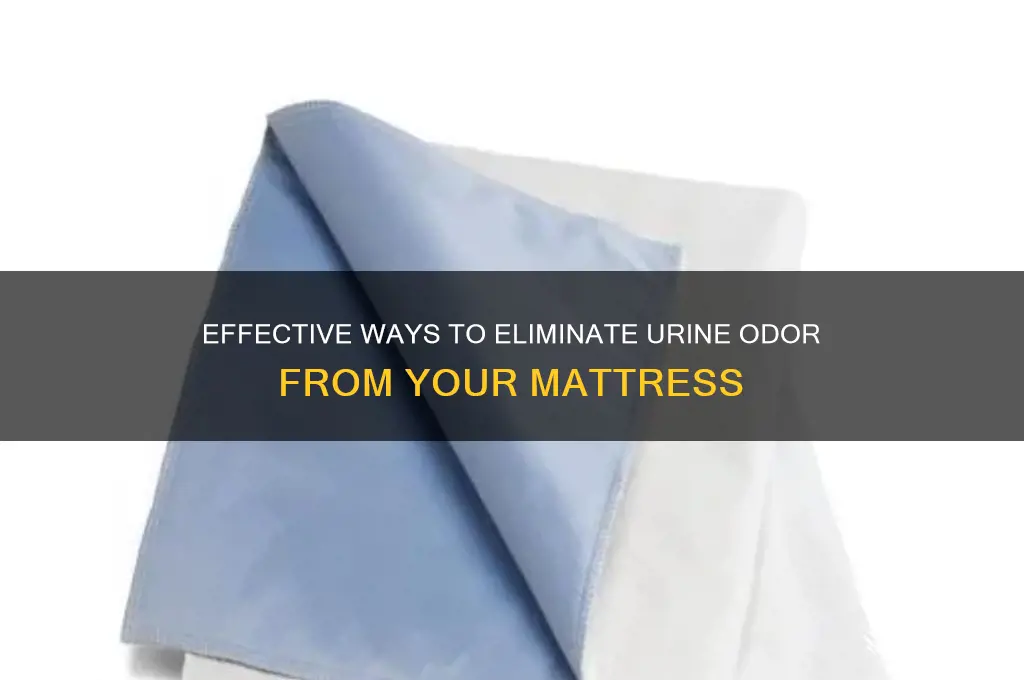 how to remove urine scent from mattress