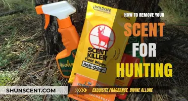 Mastering Stealth: Effective Techniques to Eliminate Human Scent for Hunting Success
