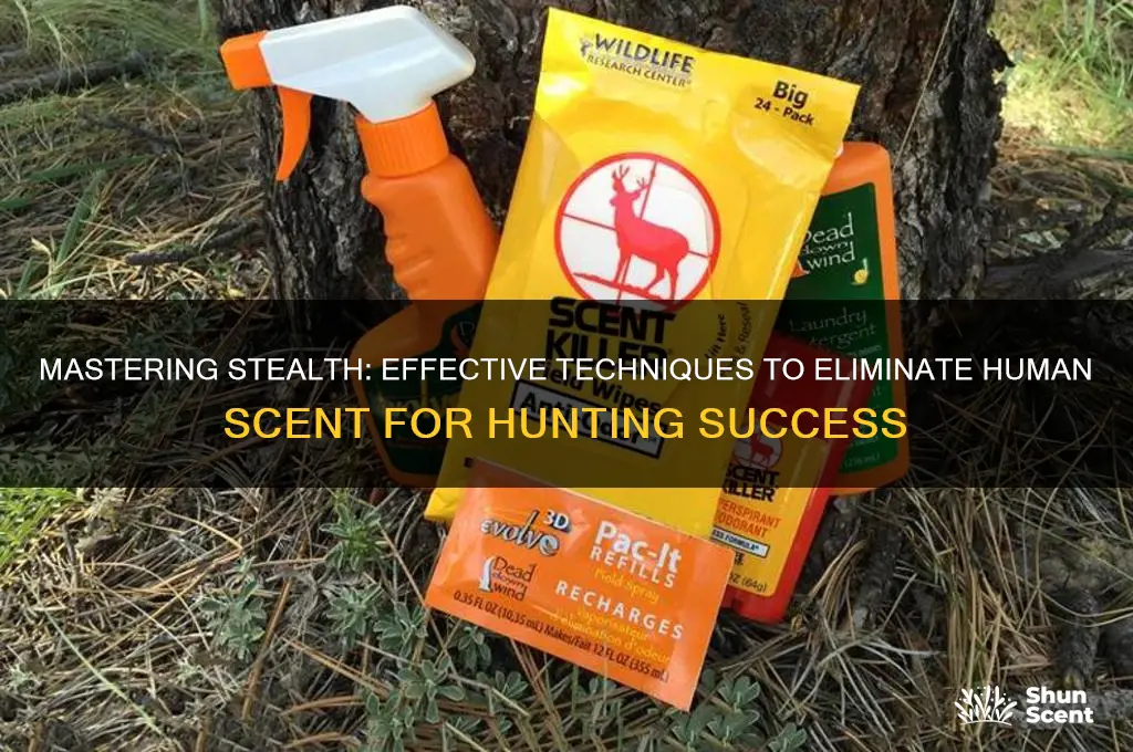 how to remove your scent for hunting
