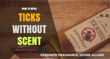 Tick-Free Living: Effective Scent-Free Repellents for Outdoor Adventures