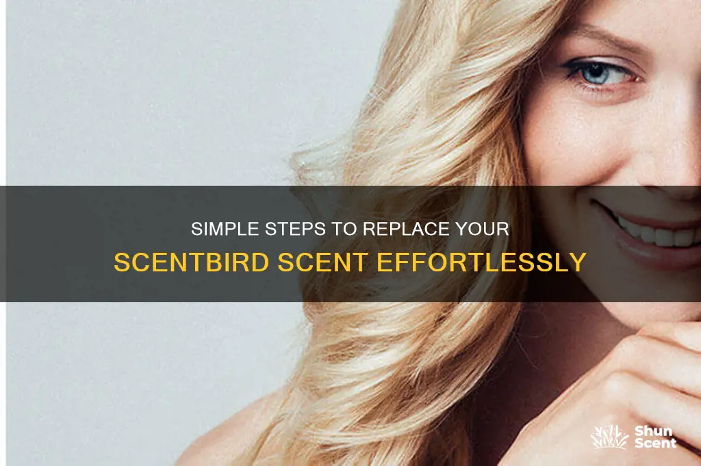 how to replace a scentbird scent