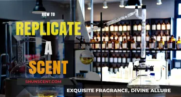 Mastering the Art of Scent Replication: Techniques and Tips