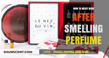 Reset Your Nose: Quick Tips After Smelling Perfumes