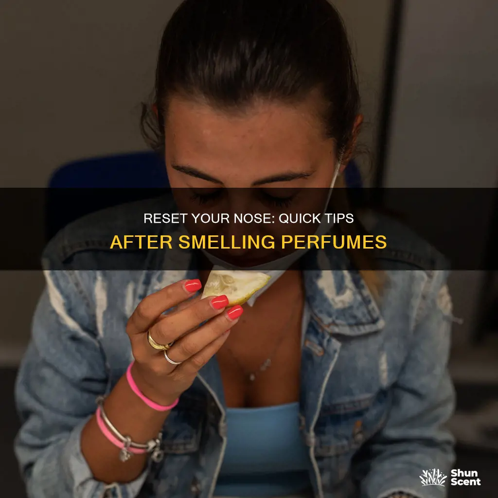 how to reset nose after smelling perfume